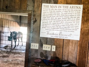 The Man In The Arena